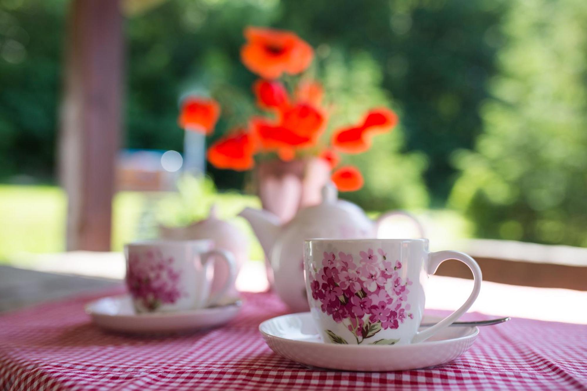 Gosciniec Malinowka Bed & Breakfast Krzeszna Ngoại thất bức ảnh
